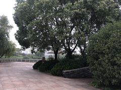 -新江湾城公园