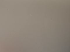 -武汉动物园