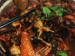 -靠山屯东北农家菜(八龙桥雅苑店)