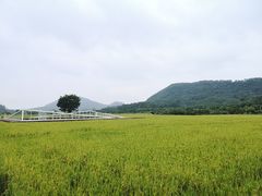 -艾米稻香小镇