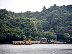 -西樵山风景名胜区-天湖公园