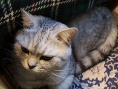 -不舍昼夜咖啡馆