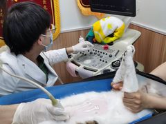 -瑞鹏宠物医院·内科·中兽医·骨科(苗圃店)
