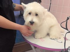 -FAELING PETS美天灵宠物(富力广场店)