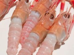 -温州万和豪生大酒店-餐厅