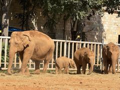 -石家庄市动物园
