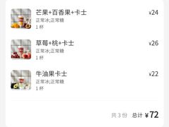 -南澳岛打卡果汁冰公司
