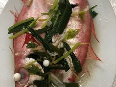 -老三鱼仔店