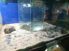 -白鹿仓冰雪海洋世界