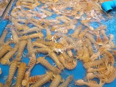 -北塘海鲜·天津菜(大光明桥旗舰店)