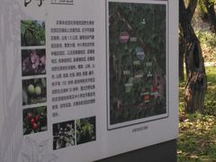 -国家植物园南园