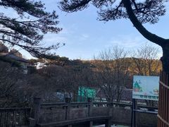 -黄山白云宾馆