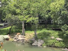 -宁波野生动物园