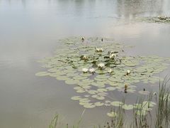 -野鸭湖国家湿地公园