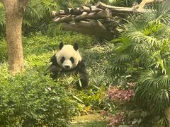 -石排湾郊野公园