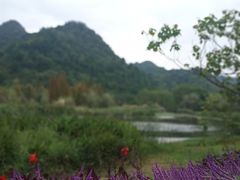 -贵阳市花溪国家城市湿地公园