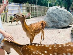 -水上乐园·欢乐世界