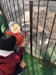 -萌宠亲子动物乐园(槐房万达店)