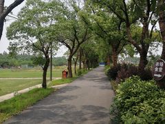 -上海长兴岛郊野公园