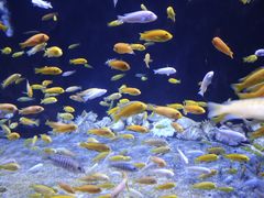 -成都浩海立方海洋公园