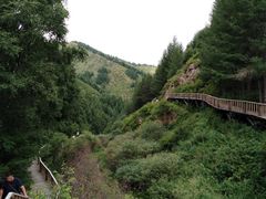 -苏木山森林公园