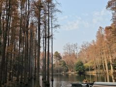 -波尔登森林公园