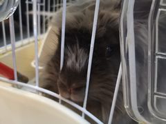 -UltraForce超源健身私教工作室(长楹天街精品店)