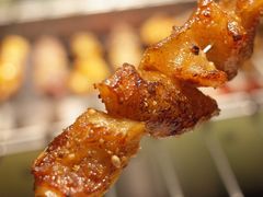 -诸锣记烤串·锦州烧烤(淘金店)