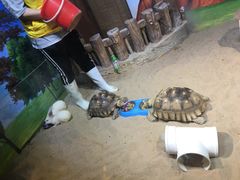 -华夏文旅海洋公园