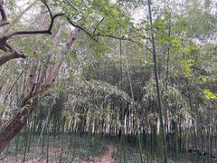 -兰亭风景区