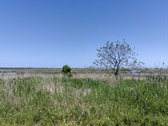 -盐城丹顶鹤湿地生态旅游区