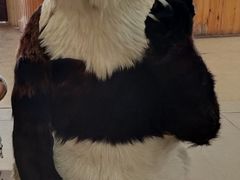 -北京鹿世界主题园