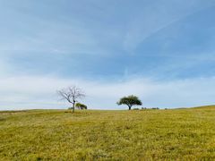 -塞罕坝国家级自然保护区