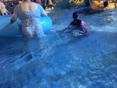 -苏州乐园森林水世界