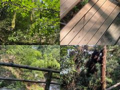 -东天目山风景区