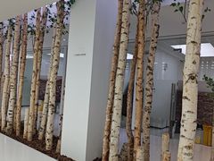 -极简口腔(总院)