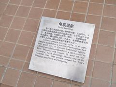 -广东惠东海龟国家级自然保护区