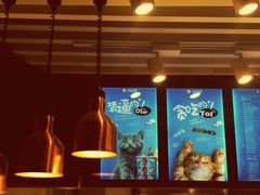 -开心猫无锡三阳广场店