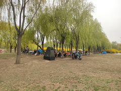 -东坝千亩湖公园