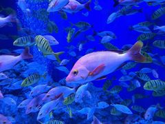 -成都浩海立方海洋公园