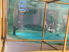 -辣得叫湘菜(四明店)