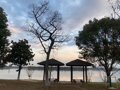 -漕湖湿地公园