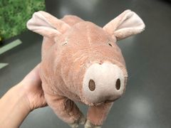 -宜家家居(哈尔滨商场店)