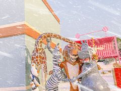 -巨鹏飞梦幻海岸