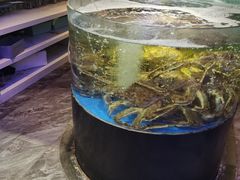 -蟹之国·精品蟹料理(极地店)