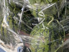 -江杨农产品批发市场