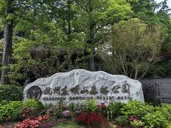 -东明山森林公园