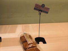 -蒲公英(五里店)