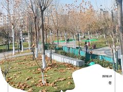 -东升文体公园