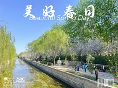 -海棠花溪(元大都城垣遗址公园)